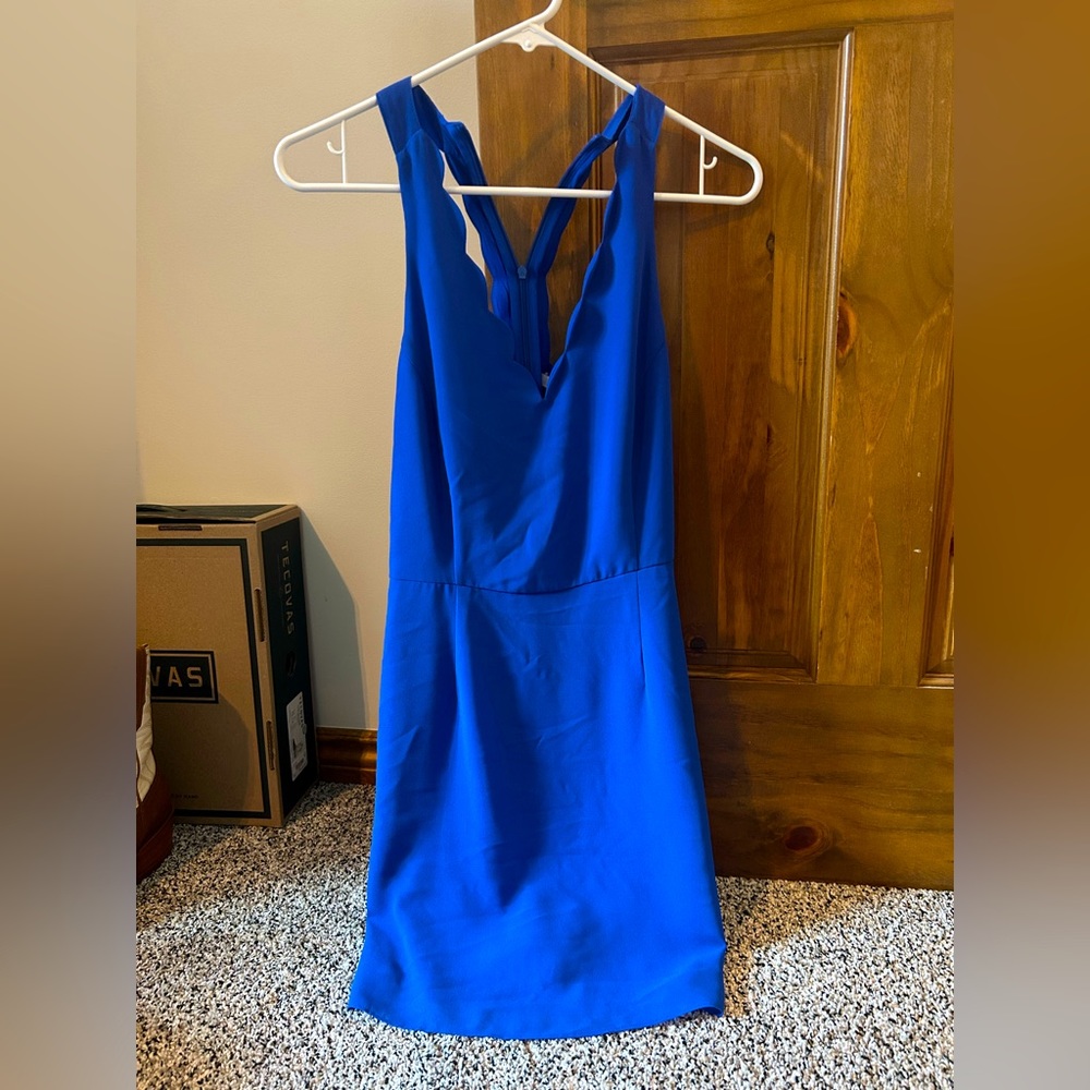Blue dress from naked zebra